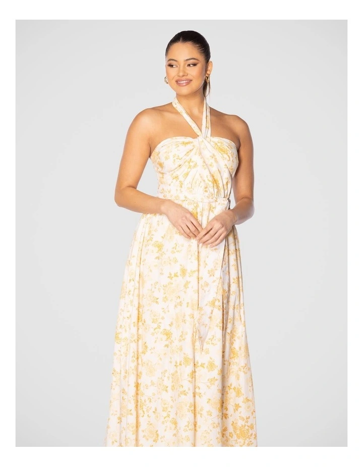 Quin Maxi Dress in Multi image 5