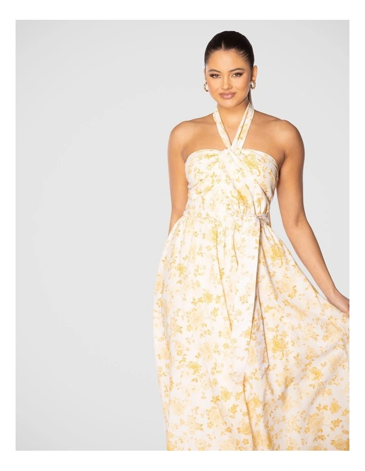 Quin Maxi Dress in Multi image 6