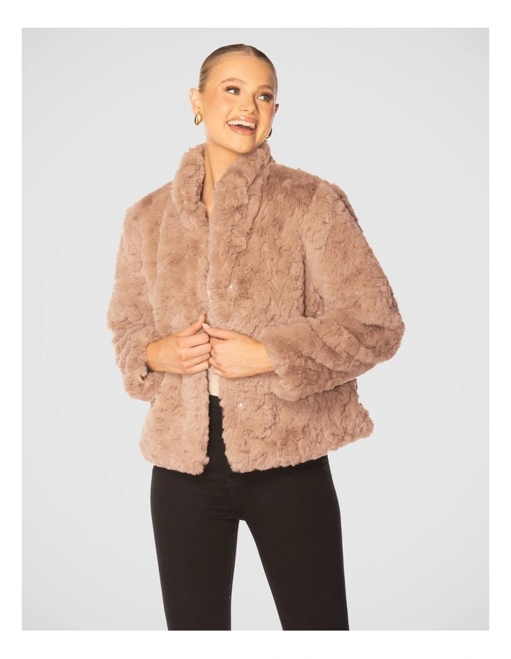 Evianna Faux Fur Jacket in Light Brown image 4