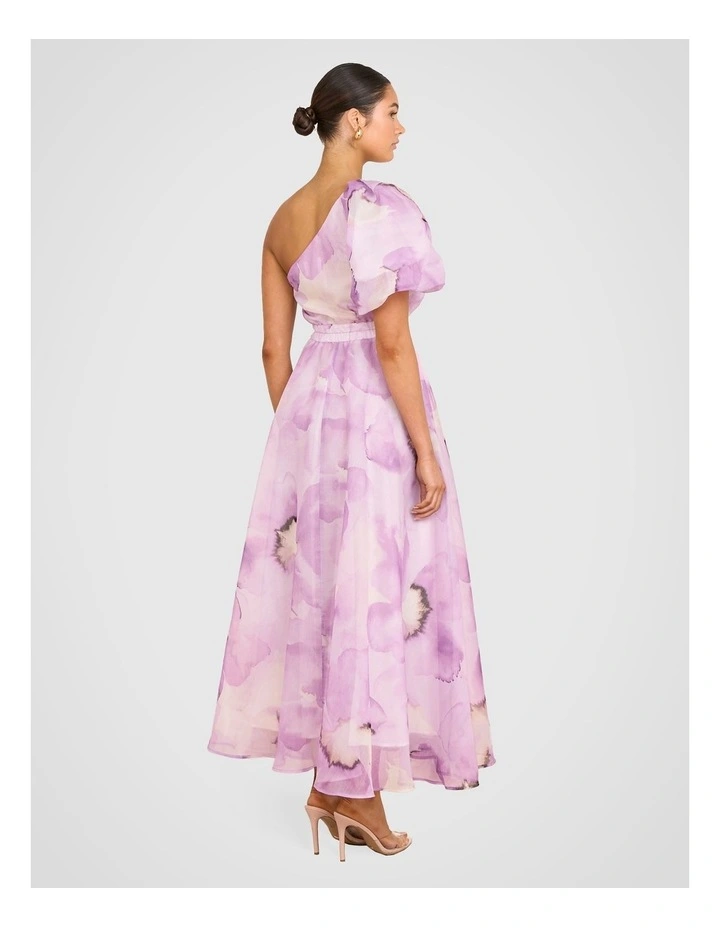 Zailee One Shoulder Maxi Dress in Multi image 2