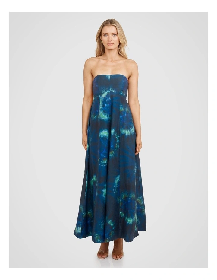 Taine Strapless Maxi Dress in Assorted image 1