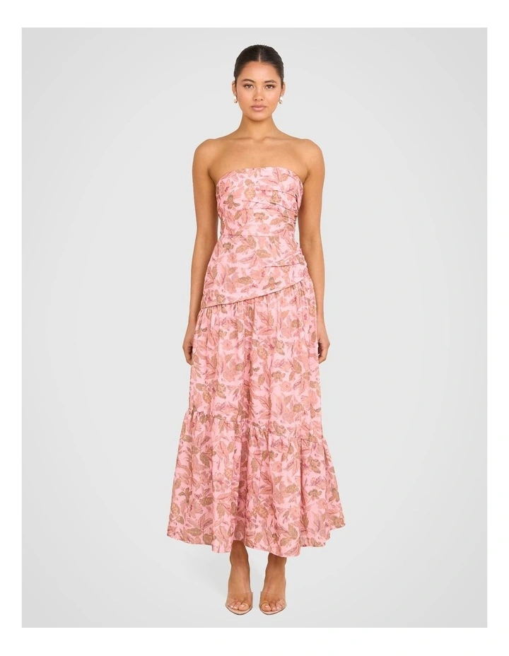 Desiree Strapless Maxi Dress in Multi image 1