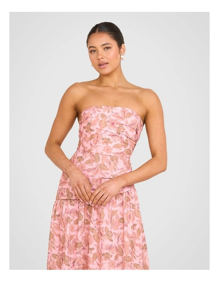 Desiree Strapless Maxi Dress in Multi image 4