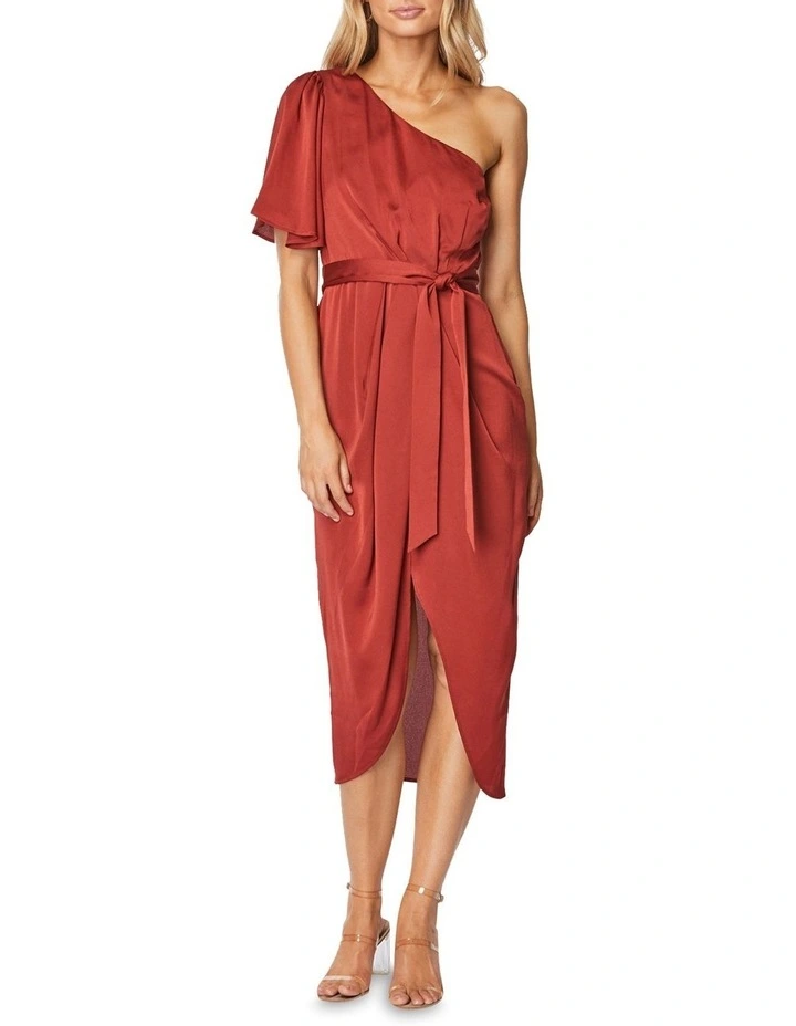 Cam Midi Dress image 5