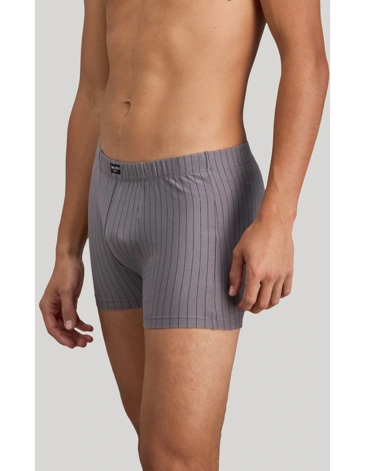 Cotton Stretch Mens Trunk in Ash Pinstripe image 4