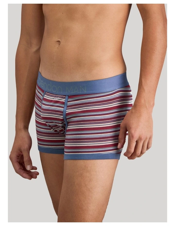 Bold Stripe Mens Trunk in Indigo/Fig Stripe image 3