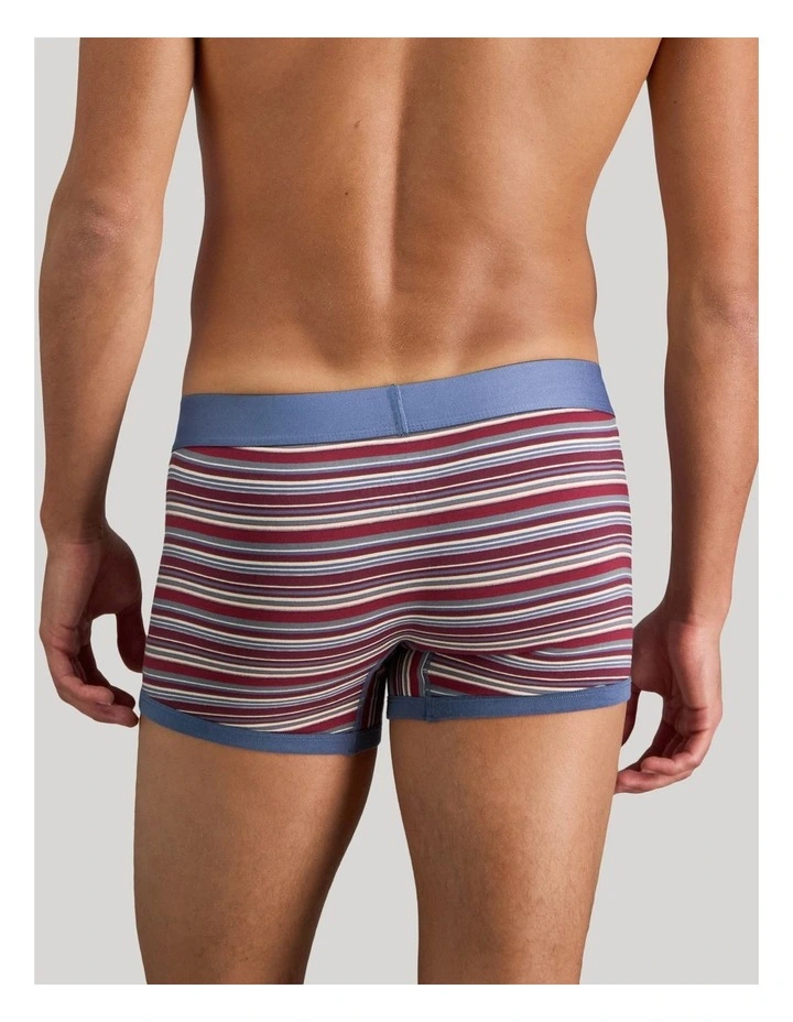Bold Stripe Mens Trunk in Indigo/Fig Stripe image 4