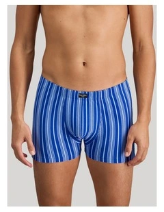 Cotton Stretch Mens Trunk in Surf The Web Stripe