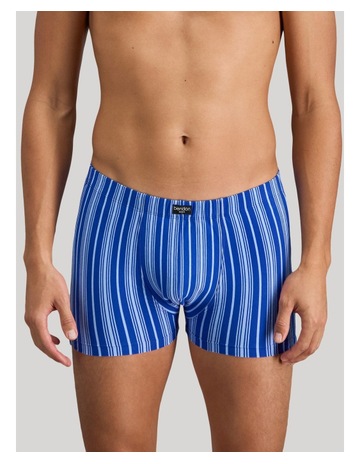 SURF THE WEB STRIPE colour
