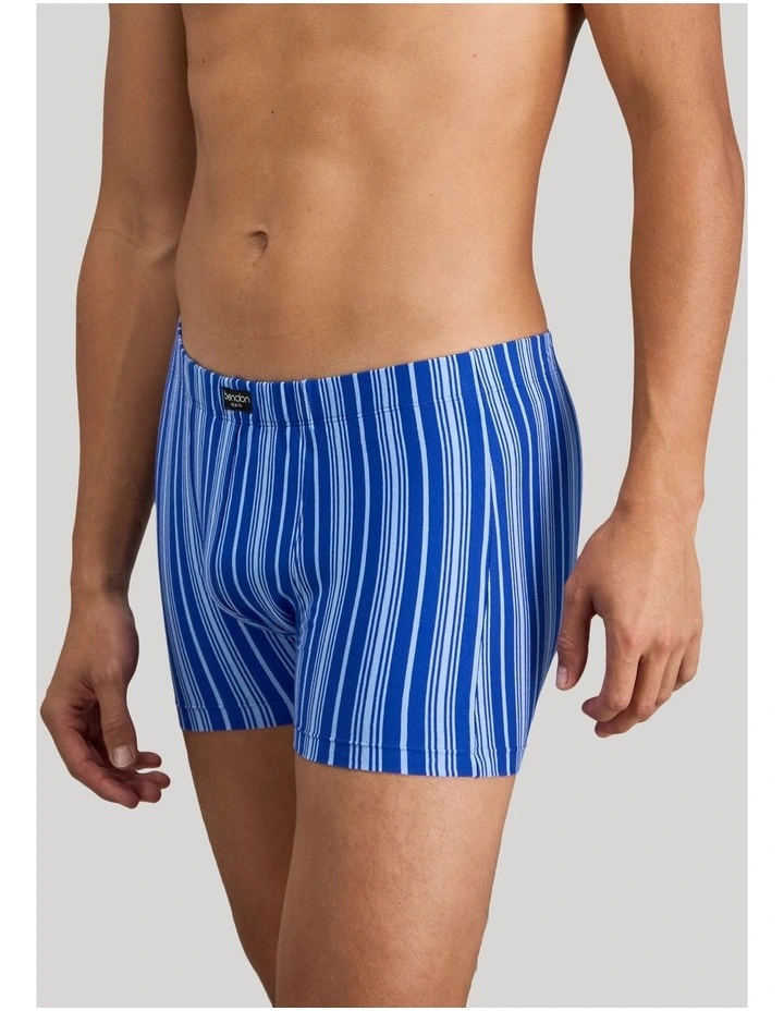 Cotton Stretch Mens Trunk in Surf The Web Stripe image 5