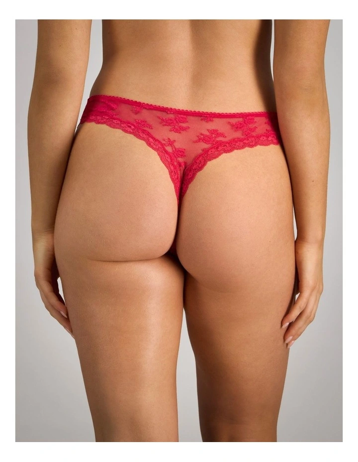 Light Lace Thong in Jazzy image 2