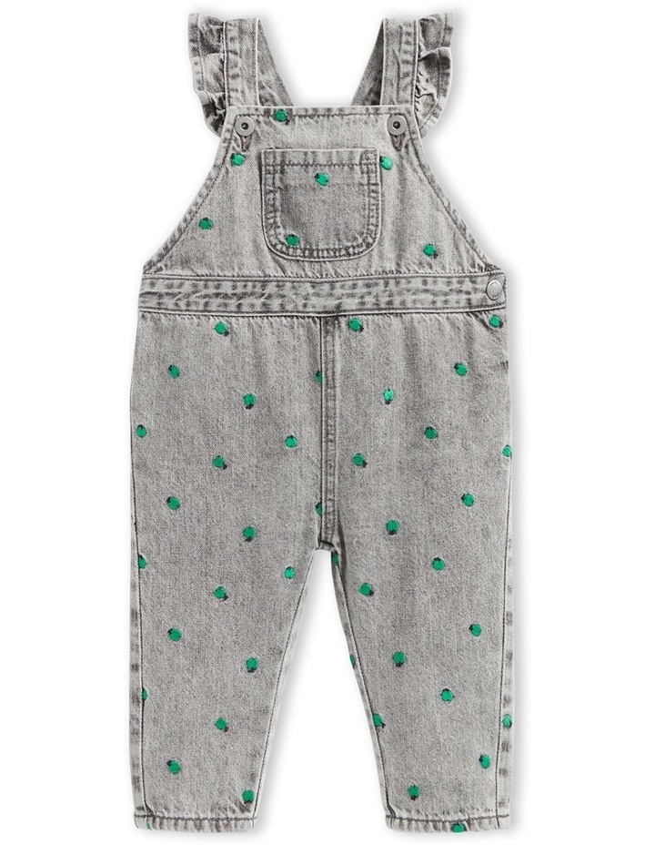 Apple Embroidered Overall in Slate Wash Charcoal