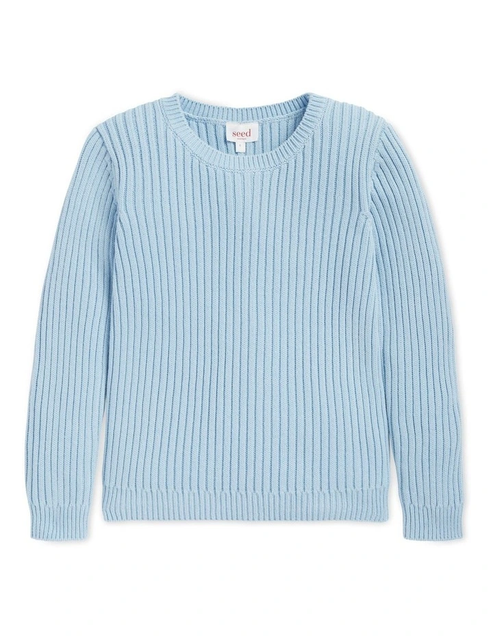 Rib Knit Sweater in Pale Blue image 1