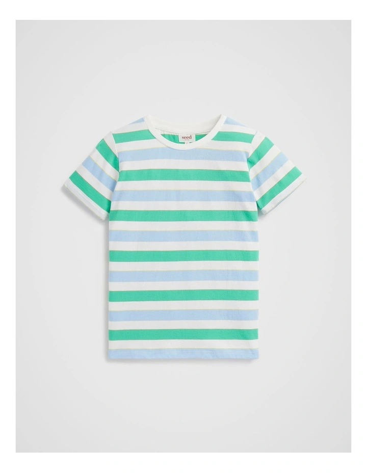 Big Stripe Tee in Assorted image 3