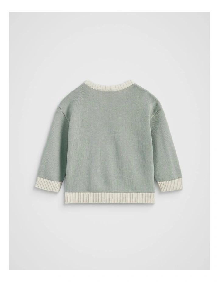 Spliced Knit Jumper in Sage image 2