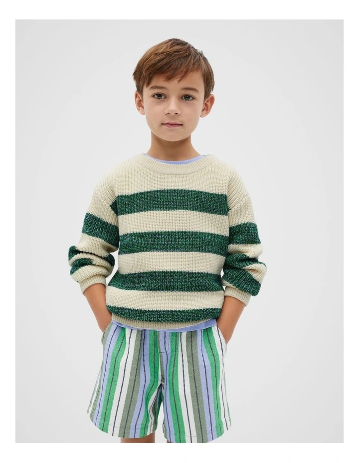 Mixy Stripe Knitwear in Multi image 1