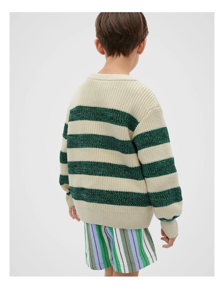 Mixy Stripe Knitwear in Multi image 2