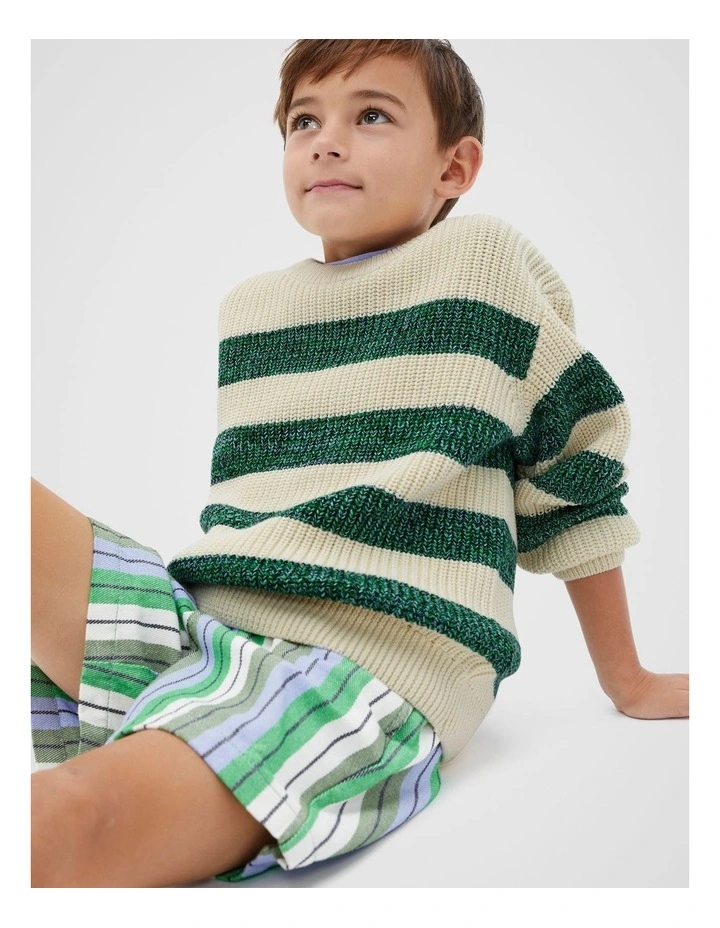 Mixy Stripe Knitwear in Multi image 3