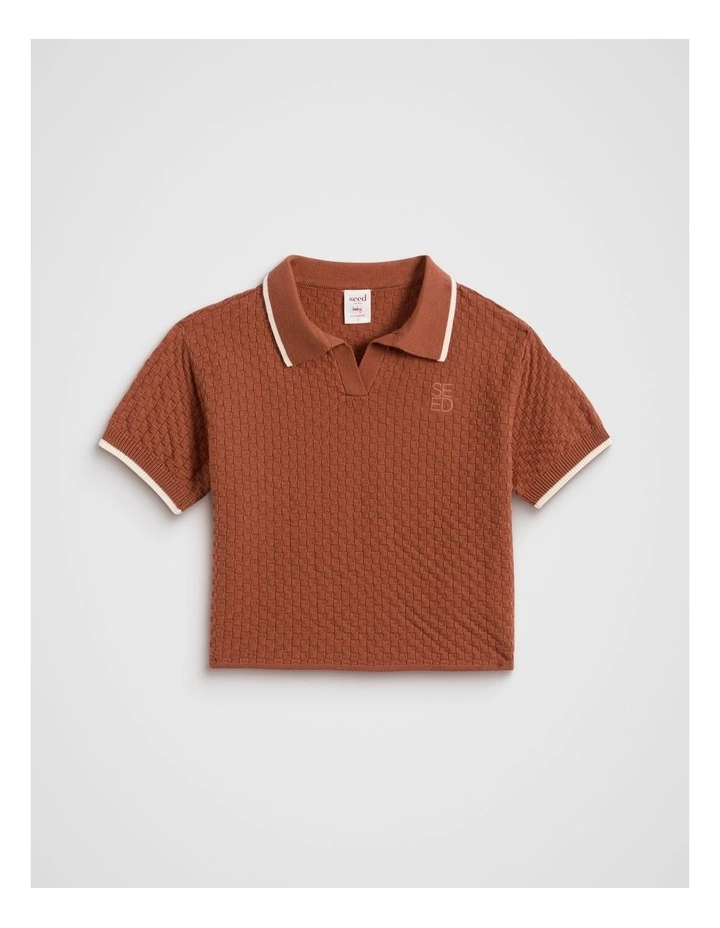 Knit Trophy Polo Shirt in Rust image 1