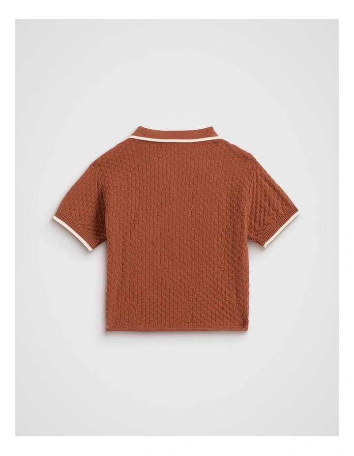 Knit Trophy Polo Shirt in Rust image 2