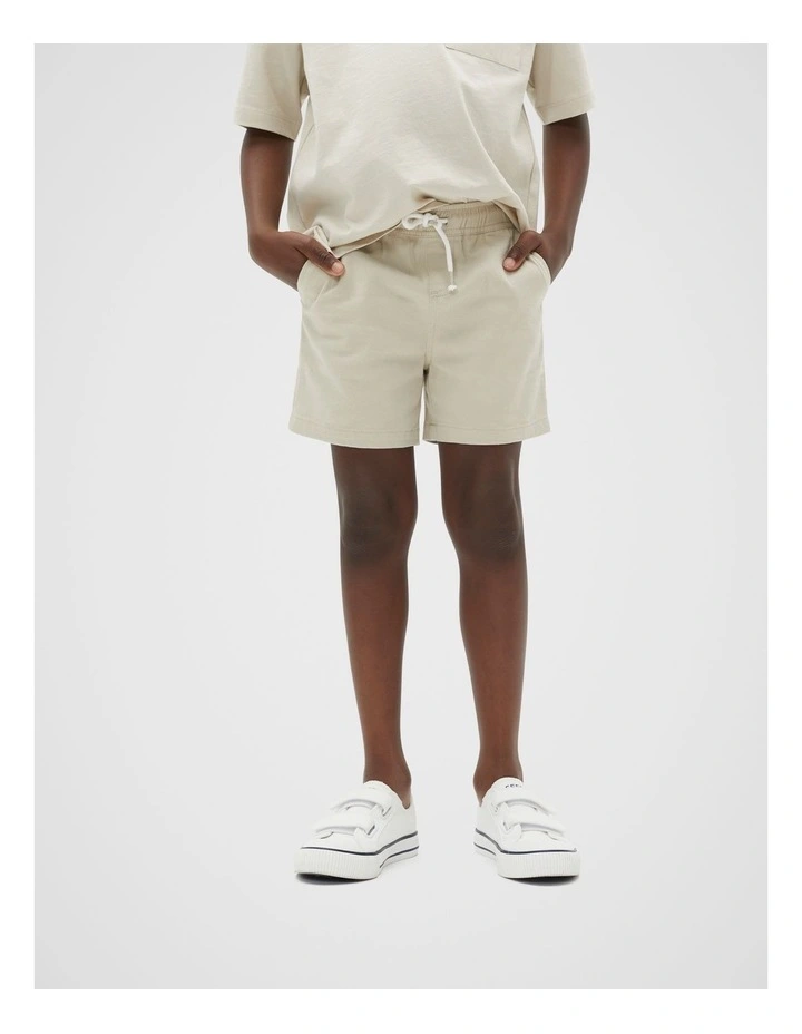 Garment Dye Shorts in Grey image 1