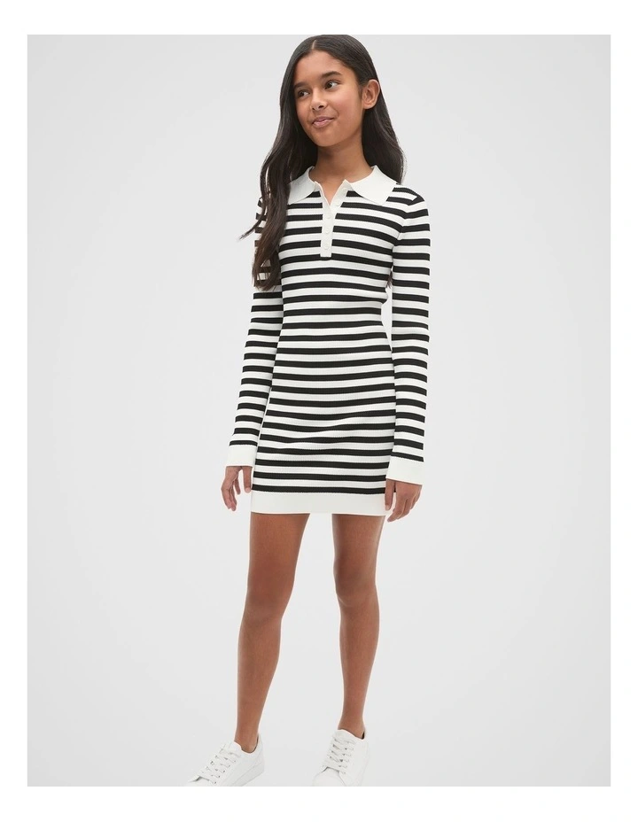 Stripe Knit Dress in Black image 3