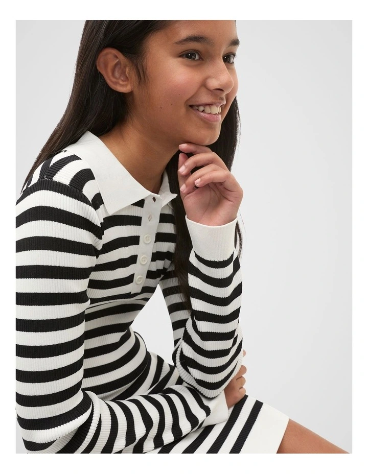 Stripe Knit Dress in Black image 4