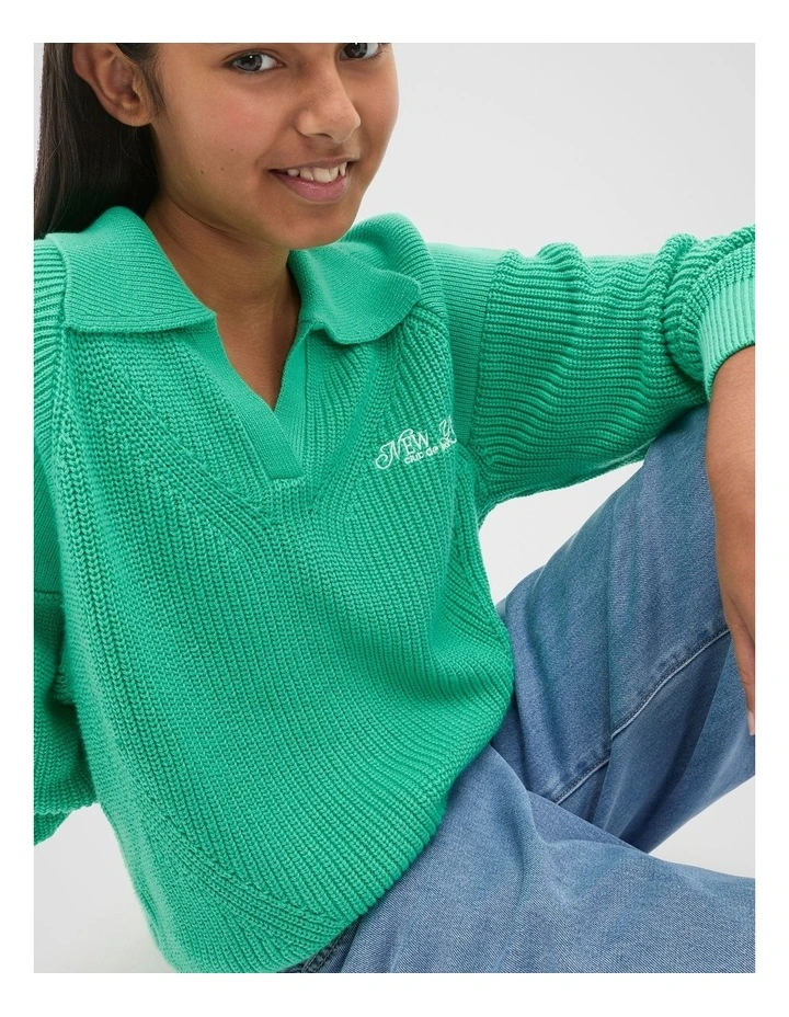 Polo Knit Sweater in Jewel Green image 4