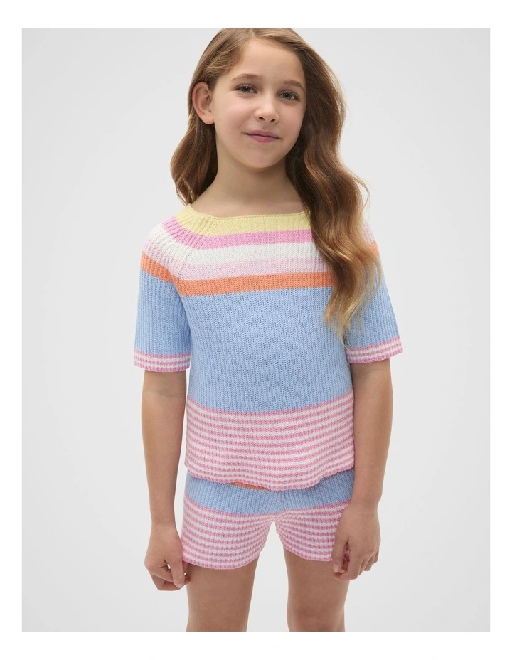 Stripe Knit Tee in Multi image 1