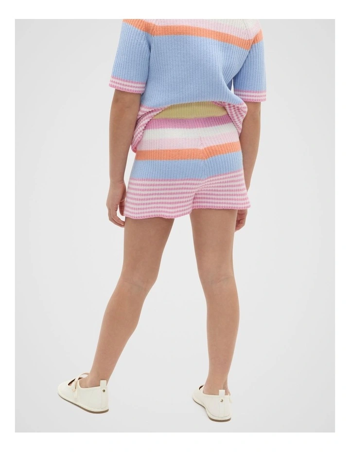 Stripe Knit Short in Multi image 2
