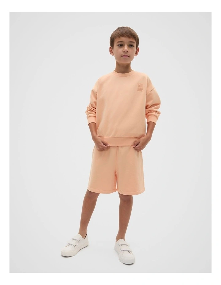 Garment Dye Sweat Top in Washed Apricot image 3