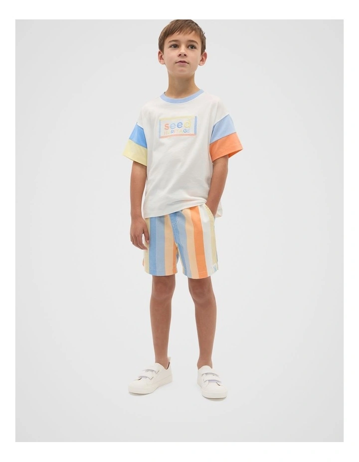 Stripe Short in Multi image 3