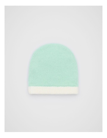 Mint colour