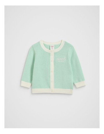 Mint colour