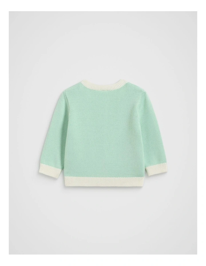 Colourblock Knit Cardigan in Mint image 2