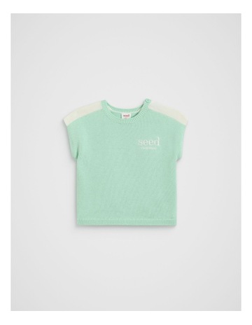 Mint colour