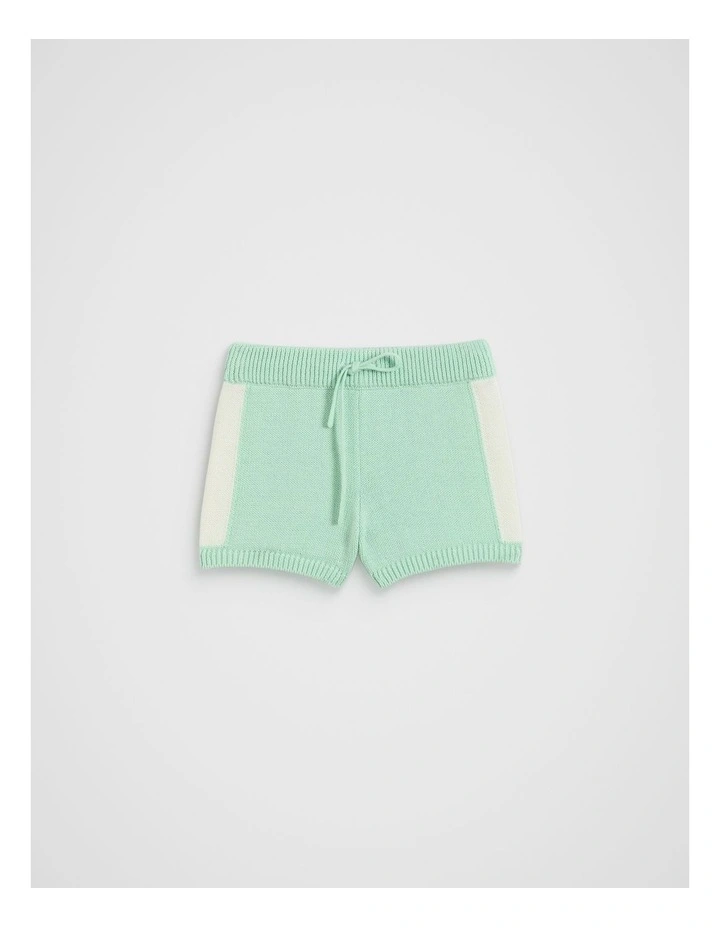 Spliced Knit Short in Mint image 1