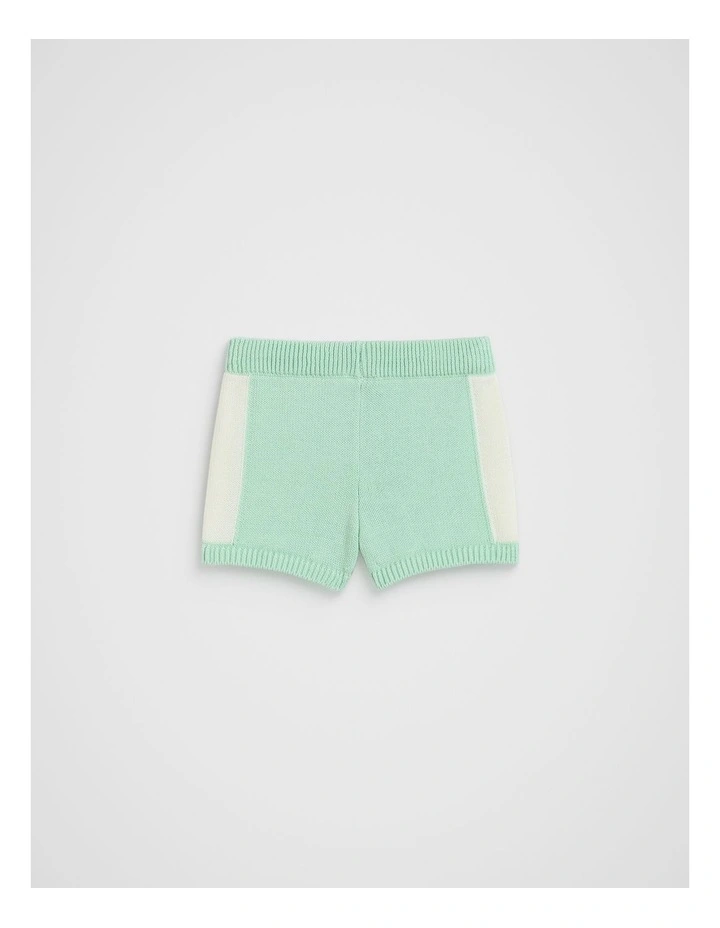 Spliced Knit Short in Mint image 2