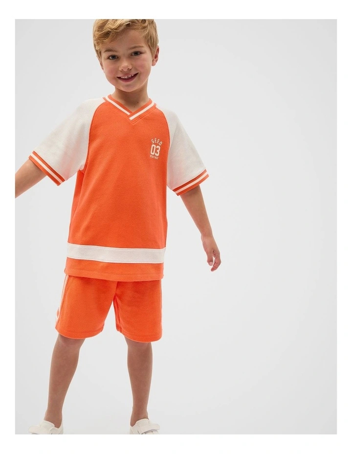 Raglan Sporty Tee in Cayenne image 1