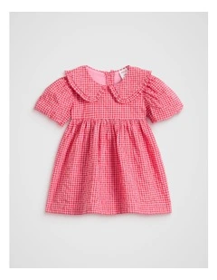 Gingham Dress in Pink