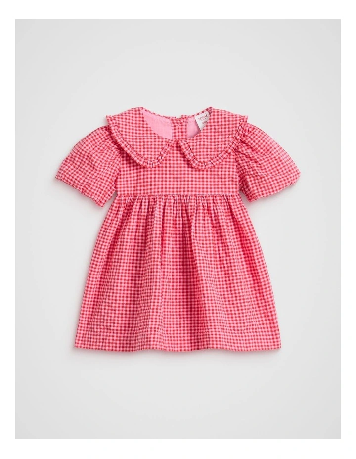 Gingham Dress in Pink image 1