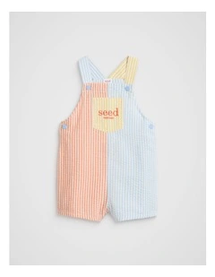 Stripe Logo Overall in Multi