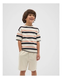 Stripe Knit Tee in Cayenne