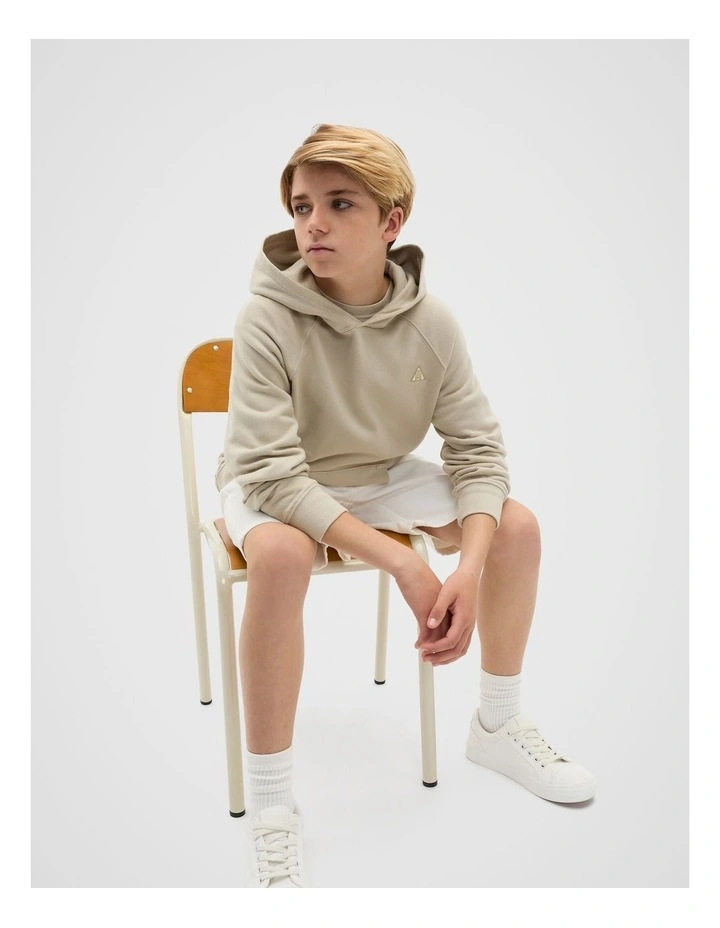 Garment Dye Hoodie in Cool Stone image 1