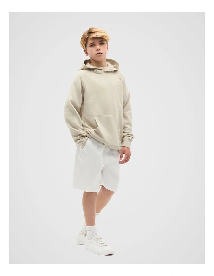 Garment Dye Hoodie in Cool Stone image 3