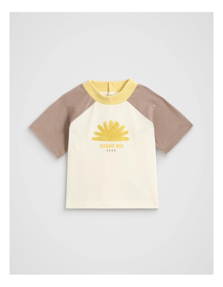 Relaxed Raglan Tee in Mousse image 1