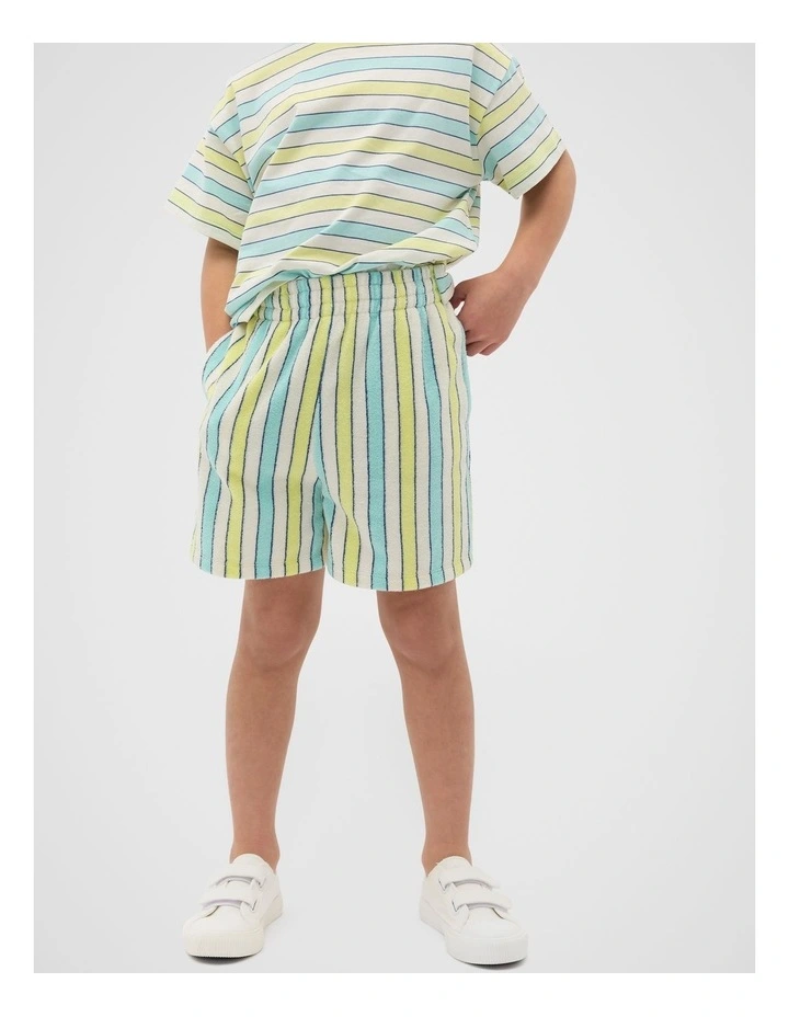 Stripe Shorts in Multi image 1