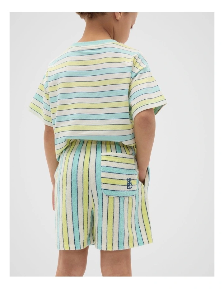 Stripe Shorts in Multi image 2