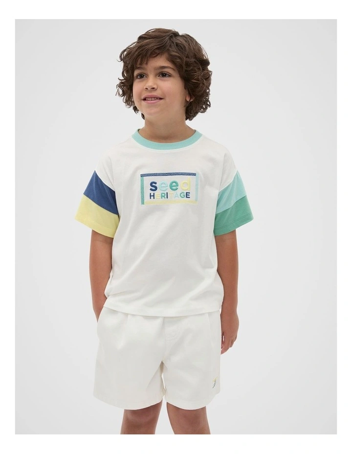 Panelled Logo Tee in Multi image 1