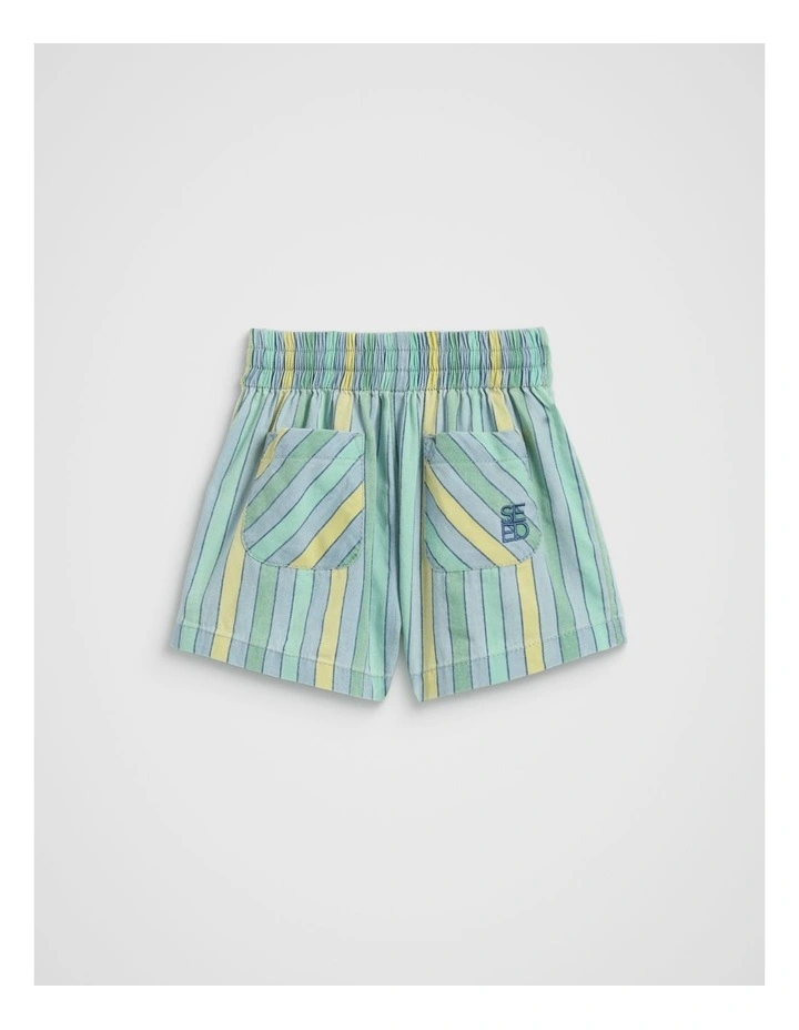 Chambray Stripe Short in Multi image 1